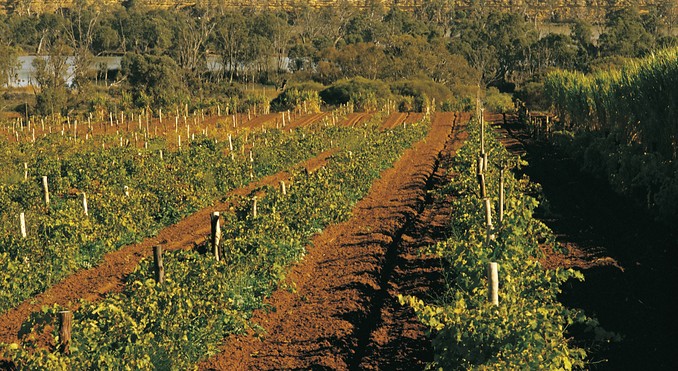 Image courtesy of South Australia