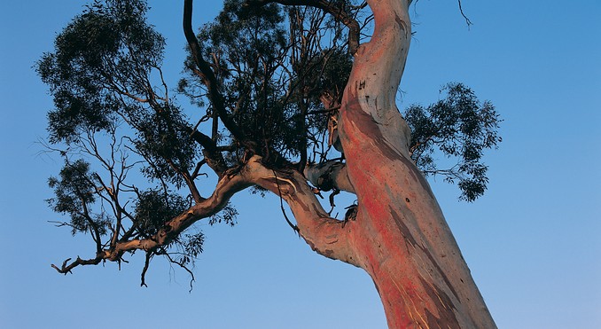 Image courtesy of Tourism Victoria
