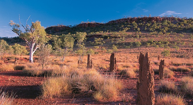 Image courtesy of Tourism Queensland