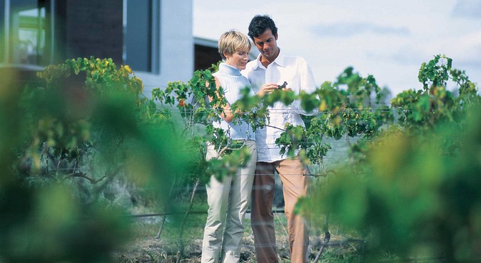 Image courtesy of Tourism Queensland