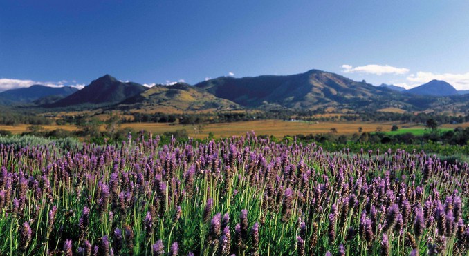 Image courtesy of Tourism Queensland