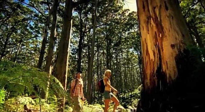 Image courtesy of Western Australia