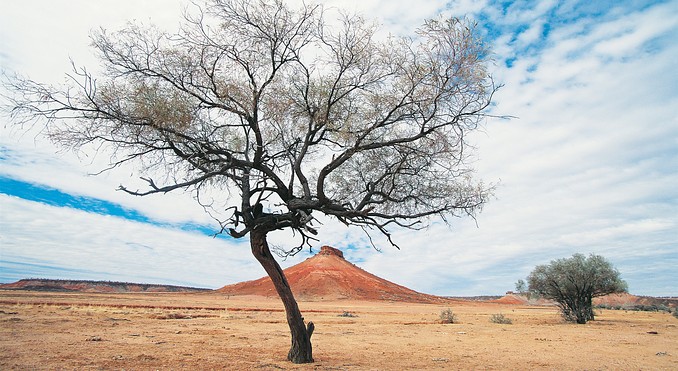 Image courtesy of Tourism Queensland