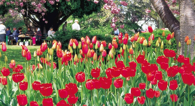 Image courtesy of Tourism New South Wales