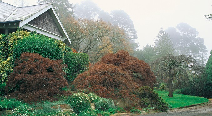Image courtesy of Tourism New South Wales