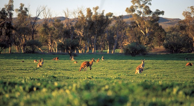Image courtesy of South Australia