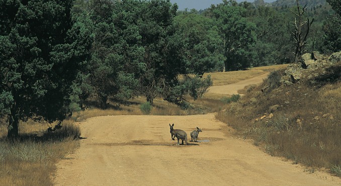 Image courtesy of South Australia