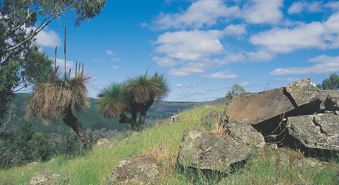Image courtesy of Western Australia