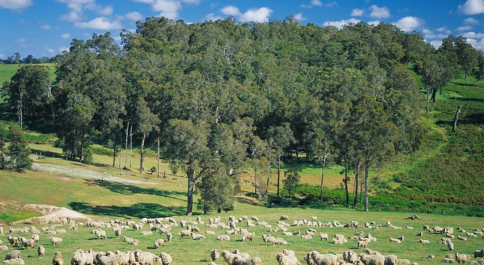 Image courtesy of Western Australia