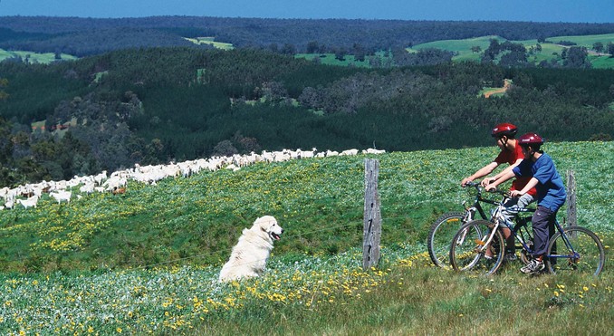 Image courtesy of Western Australia