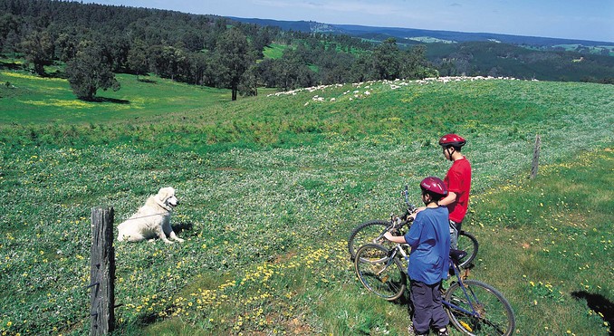 Image courtesy of Western Australia