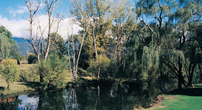Image courtesy of Tourism Victoria