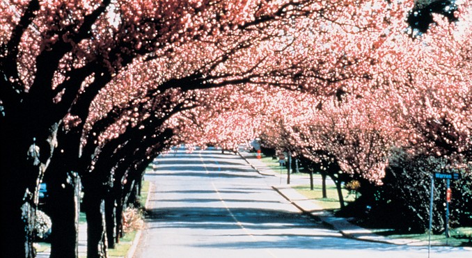 Image courtesy of Tourism Victoria