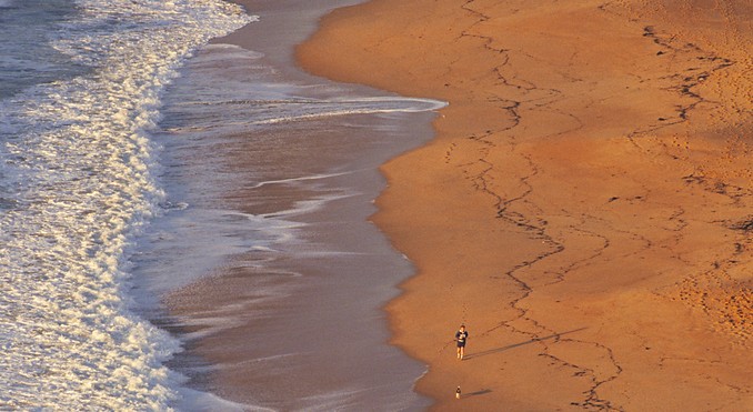 Grenville Turner - Wildlight Photography