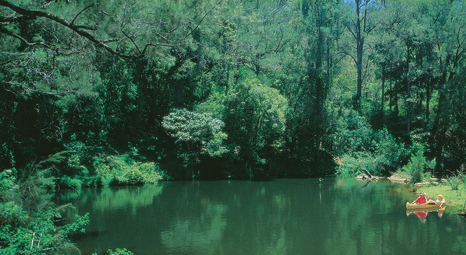 Image courtesy of Tourism Queensland