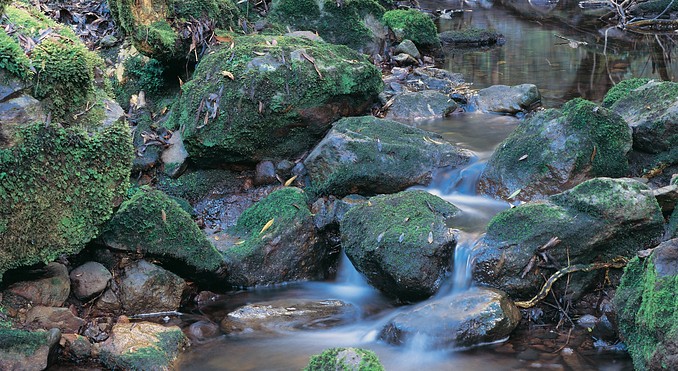 Image courtesy of Tourism Victoria