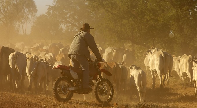 Image courtesy of Tourism NT