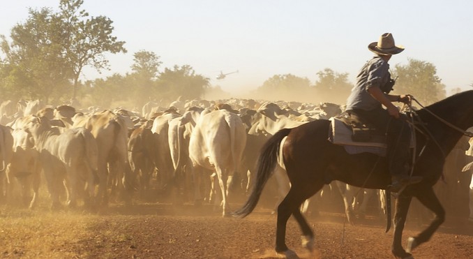 Image courtesy of Tourism NT
