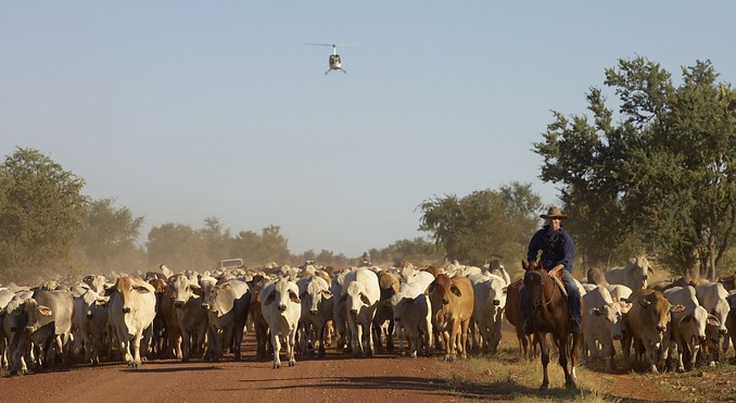 Image courtesy of Tourism NT