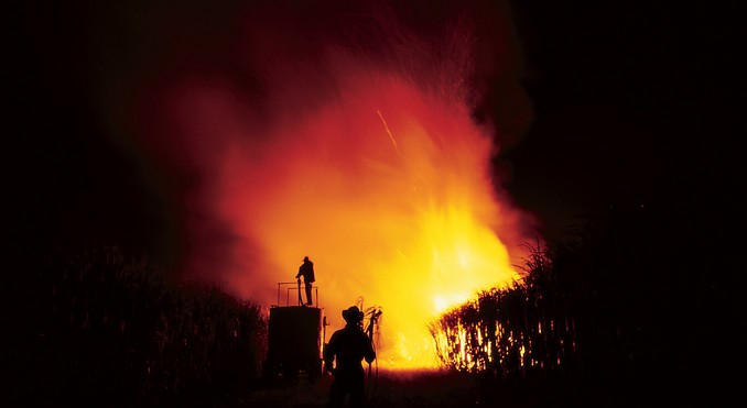 Image courtesy of Tourism Queensland