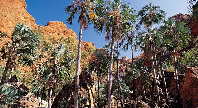 Image courtesy of Western Australia