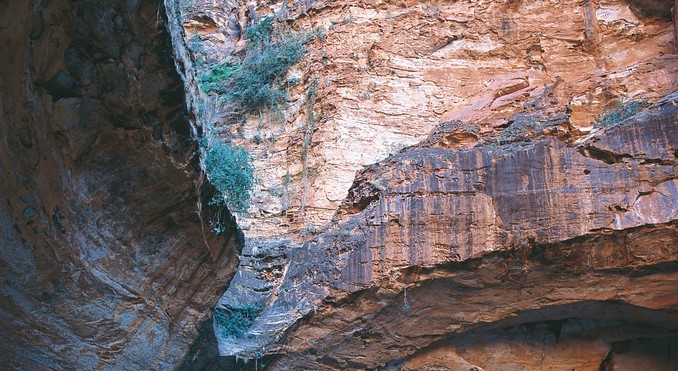 Image courtesy of Western Australia