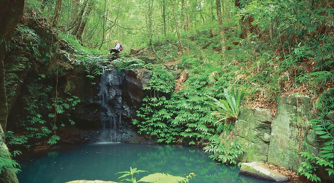 Image courtesy of Tourism Queensland