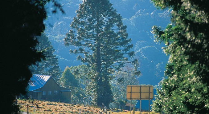 Image courtesy of Tourism Queensland
