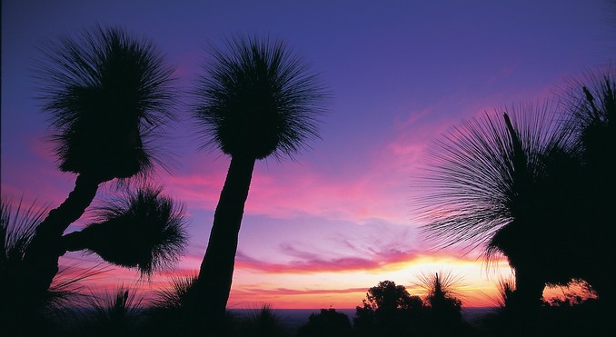 Image courtesy of Tourism Queensland