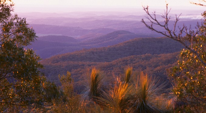 Image courtesy of Tourism Queensland