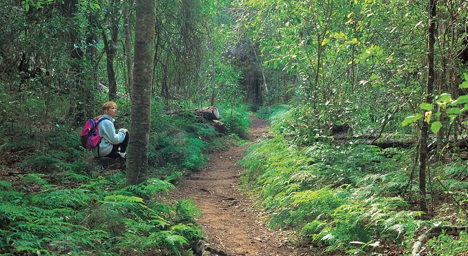 Image courtesy of Tourism Queensland