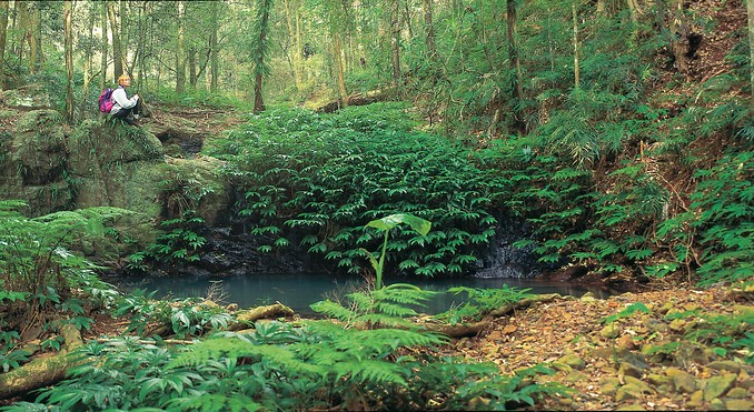 Image courtesy of Tourism Queensland
