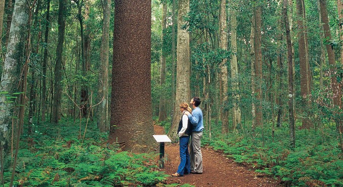 Image courtesy of Tourism Queensland