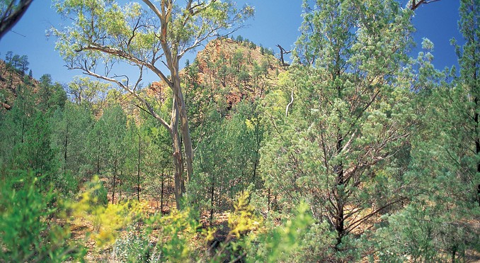 Image courtesy of South Australia