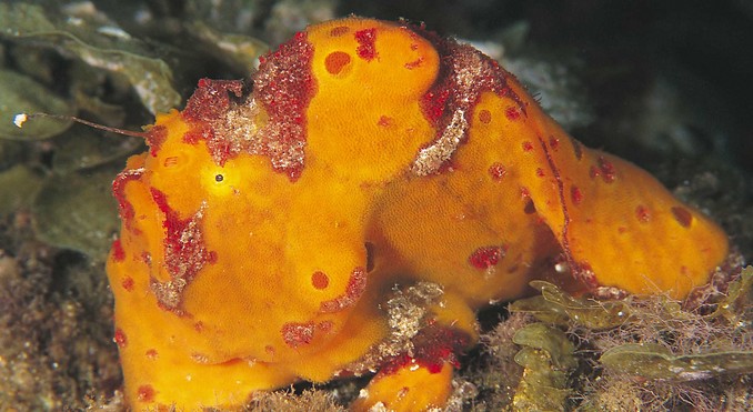 Image courtesy of Western Australia
