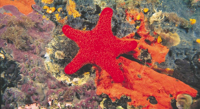 Image courtesy of Western Australia