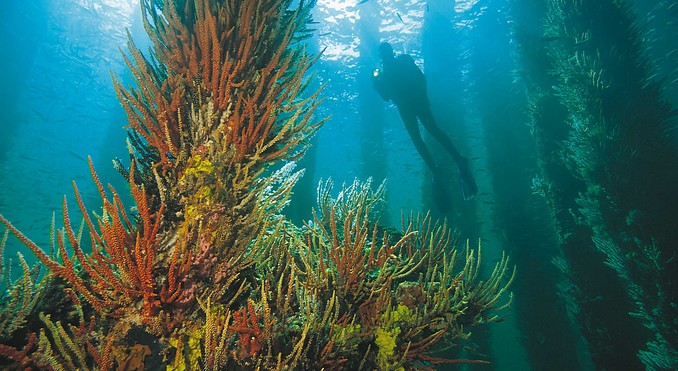Image courtesy of Western Australia