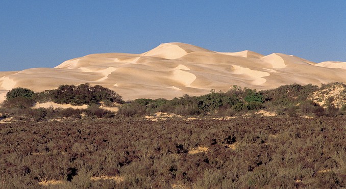 Image courtesy of South Australia