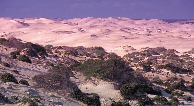 Cactus Beach
