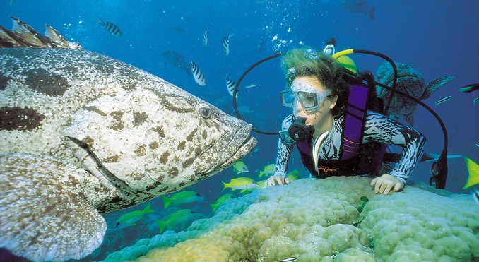 Image courtesy of Tourism Queensland