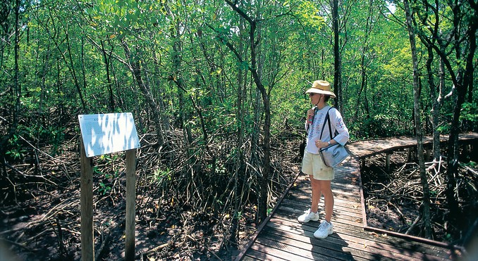 Image courtesy of Tourism Queensland