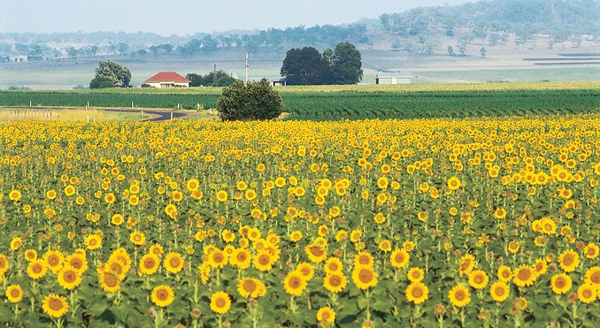 Image courtesy of Tourism Queensland