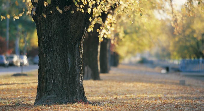 Image courtesy of Tourism New South Wales