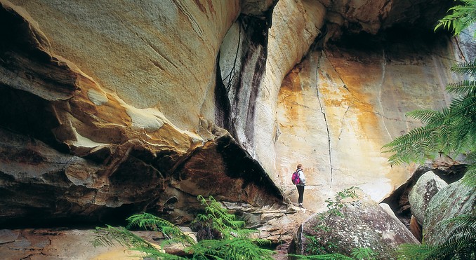 Image courtesy of Tourism Queensland
