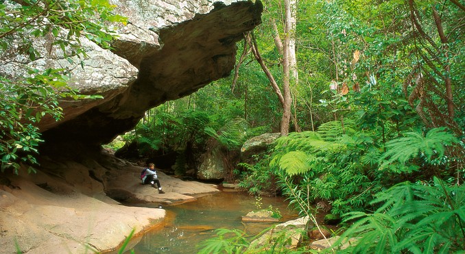 Image courtesy of Tourism Queensland