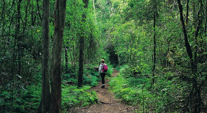 Cania Gorge National Park