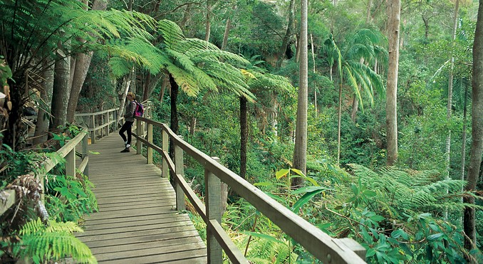 Image courtesy of Tourism Queensland