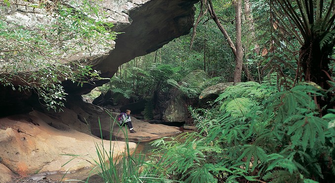 Image courtesy of Tourism Queensland