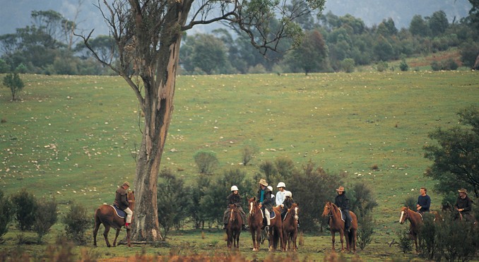 North Sullivan 1991