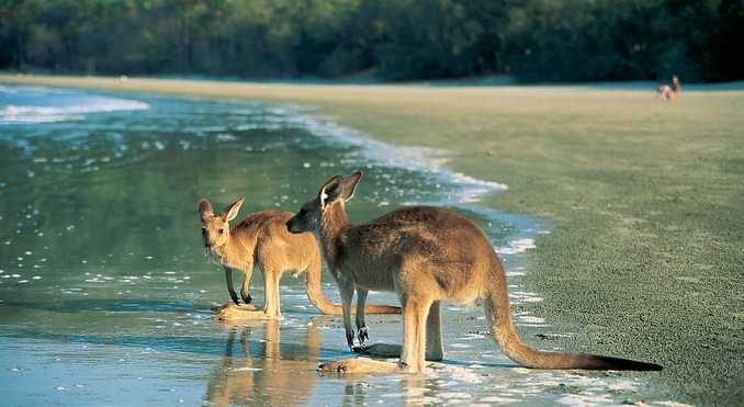 Image courtesy of Tourism Queensland
